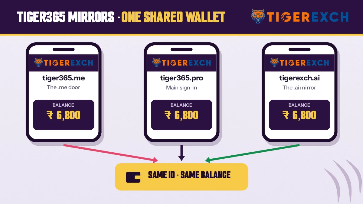 Three Tiger Exchange mirror addresses side by side with one shared wallet balance between them